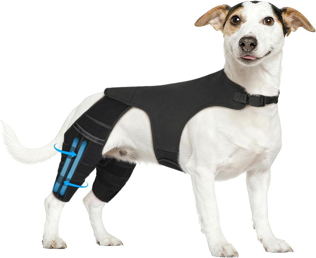 Dog Knee Brace for Torn ACL Hind Leg, Adjustable Hip Support to Reduce Pain, 4 Stabilizers Dog Leg Braces for Back Leg, CCL, Ligament Injuries & Luxating Patella, XS
