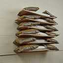 Bora Wood Organizer and Lumber Storage Rack with 6-Level Wall Storage Racks  Indoor and Outdoor Use, In Orange PBR-001