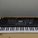 61 Key Portable Electronic Keyboard Piano w/Lighted Full Size Keys, LCD, Headphones, X-Stand, Stool, Music Rest, Microphone, Note Stickers, Built-In Speakers,3 Teaching Modes