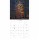Gladstone Media, Witches Woods 2026 Square Wall Calendar