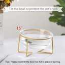 Small Glass Tilted Elevated Cat Dog Bowl Raised Cat Food Water Bowl Dish Pet Comfort Feeding Bowls with Gold Iron Stand