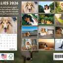 Collie Calendar 2026 Monthly Wall Calender | American Made In The USA