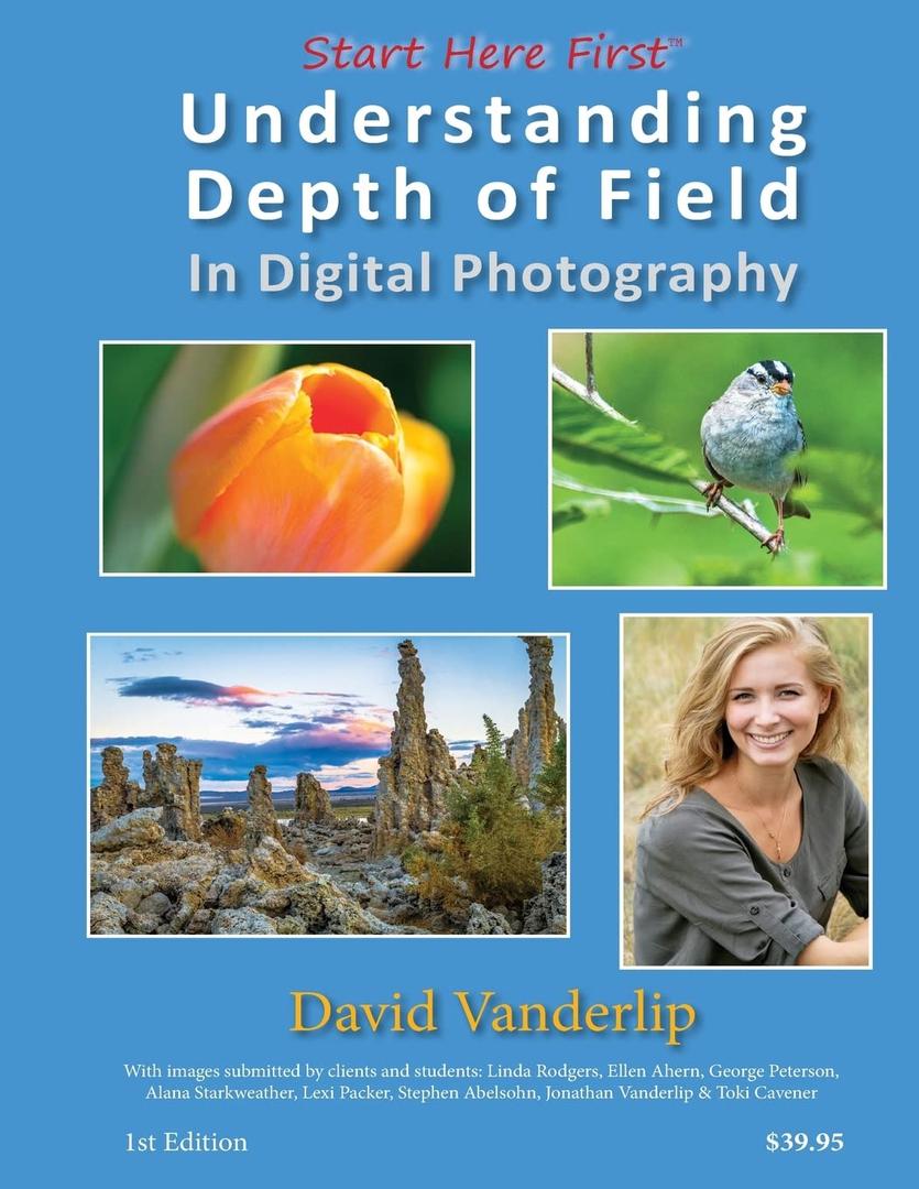 Understanding Depth of Field In Digital Photography, by David Vanderlip (Author) Format: Paperback, Book