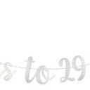 Cheers to 29 Years Banner,Pre-Strung,Silver Paper Glitter Party Decorations for 29th Wedding Anniversary 29 Years Old 29th Birthday Party Supplies Letters Silver ZHAOFEIHN