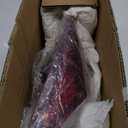 Halogens Tail Light Without LED Assembly Compatible With 2021-2023 Hyundai Elantra SEL/SE/SEL Hybrid Tail Lamp Right Passenger Side Replacement HY2805170 92402-AA020 11924300