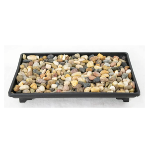 Rectangular Black Plastic Humidity/Drip Tray for Bonsai Tree and House Indoor Plants + Rock