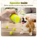 Nobleza Dog Tennis Balls 12 Pack, 2.5 Floatable Squeaky Tennis Ball for Small Medium Dogs, Training Safe Natural Rubber Squeaky Dog Balls for Dogs to Fetch Exercise, Yellow