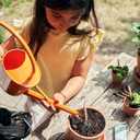 SproutWorld Wood-Cased Pencils | EVERYDAY EARTH | HB Pre-Sharpened Graphite Plantable Wooden Pencils with Flower, Herb & Vegetable Seeds |Gift Ideal for Drawing, Sketching & Shading | 12 Pack