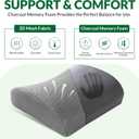 Lumbar Support Pillow for Office Chair and Car,Back Support for Office Chair,Charcoal Memory Foam Back Cushion with Breathable Mesh Cover,Double Adjustable Straps,Grey