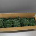 5 Ft Pencil Artificial Christmas Tree with 550 Branch Tips, Spruce Green,180 LED Warm White Lights, Include Metal Stand, UL Plug in, Slim Skinny Xmas Pencil Tree Decor for Holiday Home Indoor Outdoor