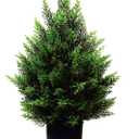 2FT Artificial Topiary Tree Beautiful Realistic Faux Cedar Pines Christmas Trees UV Rated Fake Shrubs for Front Porch Faux Plants Indoor and Outdoor Decor (Pack of 1）