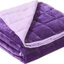 Satwip Weighted Blanket Queen Size 15lbs Fuzzy Warm Flannel Throw Blanket with Soft Breathable Sanded, 60 x 80 inches, Purple