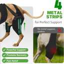 Dog Knee Brace for Back Leg, Adjustable Dog Leg Brace with 4 Stabilizers, Hip Support to Reduces Pain, Ligament Injuries & Luxating Patella & ACL CCL for Dogs, XL
