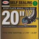 FRAM Bell Sports Bicycle Tire Tube, 20"" (7051902)