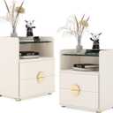 TribeSigns 2-Drawer Nightstand, Modern Bedside Table with Open Storage