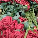 Riceshoot 500 Pcs Artificial Silk Roses Flowers with Long Stem Bridal Wedding Bouquet Realistic Floral Bulks for Garden Home Party Gifts Favor Decoration (Wine Red)
