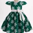 Toddler Baby Girls Christmas Snowflake Dress Bowknot Belt Xmas Party Holiday Dresses (2-3T, Green)
