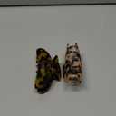 2PCS Hair Claw Banana Clips tortoise Barrettes Celluloid French Design Barrettes celluloid Leopard print Large Fashion Accessories for Women Girls (A.Classic color)