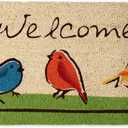 DII Natural Coir Doormat Outdoor Welcome Mat, 17x29, for The Birds