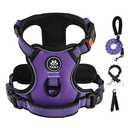 IVY&LANE No Pull Dog Harness for Small Dogs, Dog Vest Harness with Leash, Safety Belt and Storage Strap, Fully Adjustable Harness, 360?Reflective Strip, Soft Handle (Purple, M)