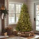 National Tree Company 6.5 ft Pre-Lit Dunhill Fir Artificial Christmas Tree, 650 Warm White LED Lights, 1,838 Tips, Includes Stand, Green