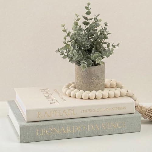 Upgraded Decorative Books for Home Decor - Coffee Table Faux Books for Decoration, Linen Fake Book Storage Box for Entryway, Bookshelf, Modern, Boho, Farmhouse & Neutral Aesthetic Decor, Set of 2