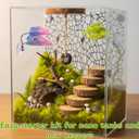 2 x Jumping Spider Enclosure Climbing Decor Accessories, Natural Wood Ledge, Climbing Web with Mounting Hardware and 2pcs Leaf Ledge, Jumping Spider Accessories, Mini Terrarium Kit (Black, Hammock)