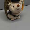Hollowfly 2026 Graduation Gifts Plush Hedgehog 11.8 In Stuffed Animal with Cap Diploma Congrats Grad Sash Cute Hedgehog Graduation Plushies Plush Toy Doll for Class of 2026 Students Boys Girls (Black)