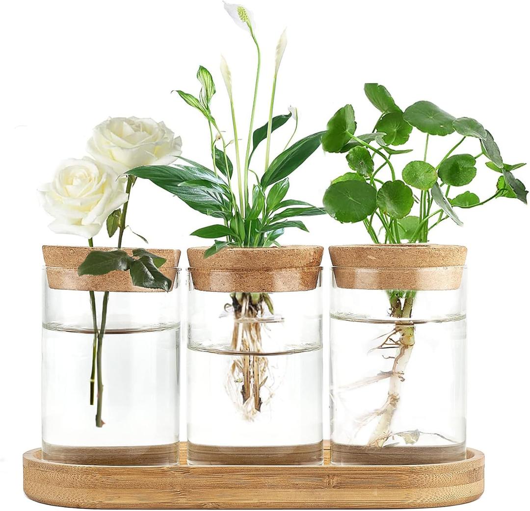 Dahey Plant Propagation Terrarium Desktop Glass Planter Station Water Planting Glass Vase with Lid and Wooden Stand for Propagating Hydroponic Plants Centerpiece Office Home Garden Decor, 3 Pcs (Medium)