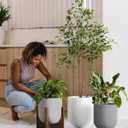 LE TAUCI 10 Inch Plant Pot, Ceramic Pots for Plants with Drainage Hole and Rubber Plug, Plant Pots Indoor for Home Garden Patio Office, Cylinder Planters for Indoor Plants, Charcoal Gray