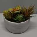 yel canby Artificial Succulent Plants Potted Indoor with Ceramic Pot - Fake Low Maintenance Plants for Bedroom, Bathroom, Coffee Table Decor - Home Office Desk & Room Aesthetics