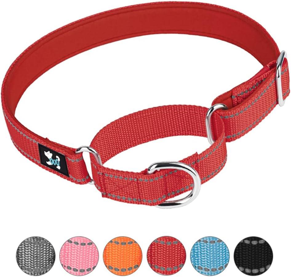 Adjustable Martingale Safety Training Dog Collars, Soft Neoprene Padded Breathable Nylon Pet Collar for Small Medium Large Dogs (L, Red)