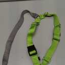 PetSafe Easy Walk Harness for Dogs - Pull-Free Walks - Patented Martingale Loop Design - Front Chest Leash Attachment - Comfort Straps - Breathable Harness Design - Large, Apple Green/Gray