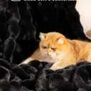 Ultra Soft Cozy Faux Fur Throw Blanket, Fuzzy Plush Thick Bubble Blanket, Luxury Fluffy Blanket for Couch, Sofa, Bedroom, and Living Room, 50x60 Inches, Black