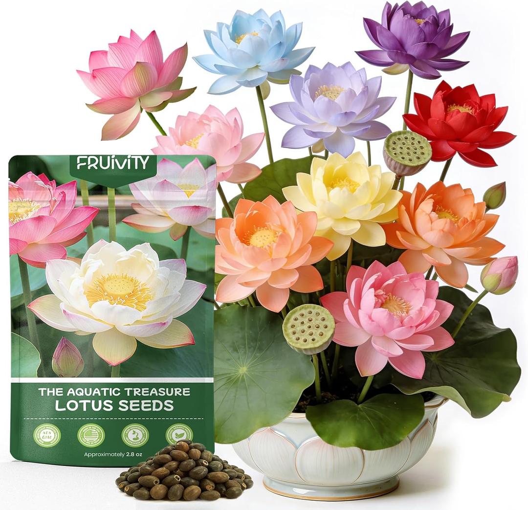 60 PCS Lotus Seeds for Planting in Water - Mixed Color Bowl Lotus Seeds, Aquatic Plant Water Lily Seeds for Indoor Bonsai, Outdoor Ponds & Garden, Unique Gift for Mother, Women, Mom, Friend, Her