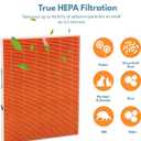 116131 True HEPA Replacement Filter I Compatible with Winix C555 Air Cleaner Purifier, H13 Grade True HEPA Filter Only, Compares to Winix 116131 Filter I (2 Pack)