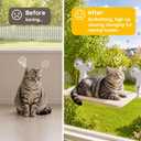 Aysoner Suction Cat Window Perch: 6 Suction Cups Sturdy Hold Up to 45lbs