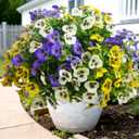 Artificial Flowers for Outdoors Fake Plants Spring Decor, 14 pcs Realistic Fake Pansies Silk Flowers UV Resistant, Lifelike Faux Outdoor Flowers for Porch Garden Patio Window Box Decor