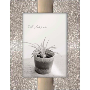 New View 5x7 inch Picture Frame- Silver / Gold