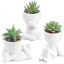 Der Rose 3pcs Fake Succulents Plants Artificial for Bathroom Bedroom Home Room Decor Aesthetic Indoor (White)
