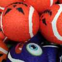 Givaner 36 Pcs Squeaky Tennis Balls Gifts