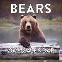 Bear Calendar 2026 Wall 12 Month Bears Gifts For Bear Lovers Women Men Monthly Calender| American Made In The USA