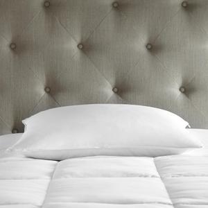 DOWNLITE 5/95 Down & Feather Soft Hotel Pillow for Back & Stomach Sleepers (Hypoallergenic) (Queen (U.S. Standard))