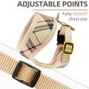 PUPTECK Soft Mesh Dog Harness Small Sized and Leash Set Pet Puppy Cat Comfort Padded Vest No Pull Harnesses, Beige, S