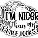 6 x (3PCS) I'm Nicer Than My face Looks Sticker. Funny Inspired, Inspirational Motivational Gifts, Waterproof Vinyl Decal for Water Bottles, Laptops, Phones, Tumblers, Size 2,8 x 3 Inch