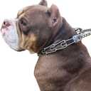 LonlyEagle Dog Collar Buckle,Fastener Stainless Steel Buckle for Prong Dog Training Collar & Quick Release with Buckle for Medium Large Dogs(Silver,M:2.8-3.2mm)