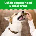 Greenies Large Natural Dental Dog Treats, Original Flavor, 34 Count (EXP 12/05/27)