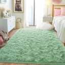 Fluffy Area Rug for Bedroom 4x6 Feet, Indoor Plush Carpet, Shag Soft Bedside Rug, Cute Comfy Furry Rug for Living Room Dorm Girls Boys Room Nursery Decor, Mint Green
