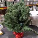 National Tree Company 24 in Pre-Lit Majestic Fir Artificial Christmas Tree, 35 Multicolor Lights, 71 Tips, Timer, Red Cloth Base, Green