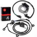 Stator and Pulse Coil & Gasket Compatible with Honda CR80R CR80RB 1996-2002 CR85R CR85RB 2003 2004 31120-GBF-831 30300-GC4-601